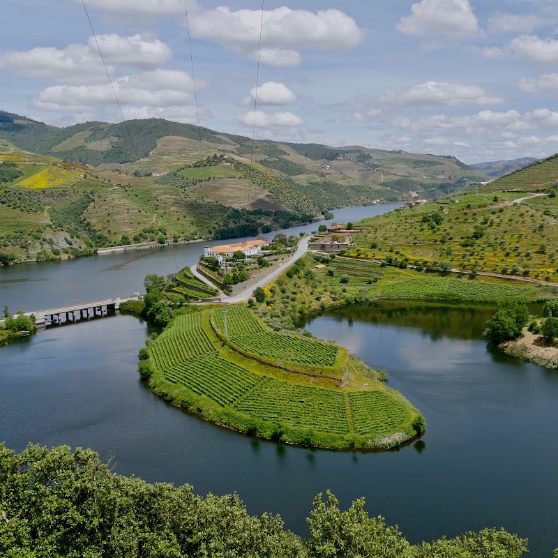 Quinta do Tedo