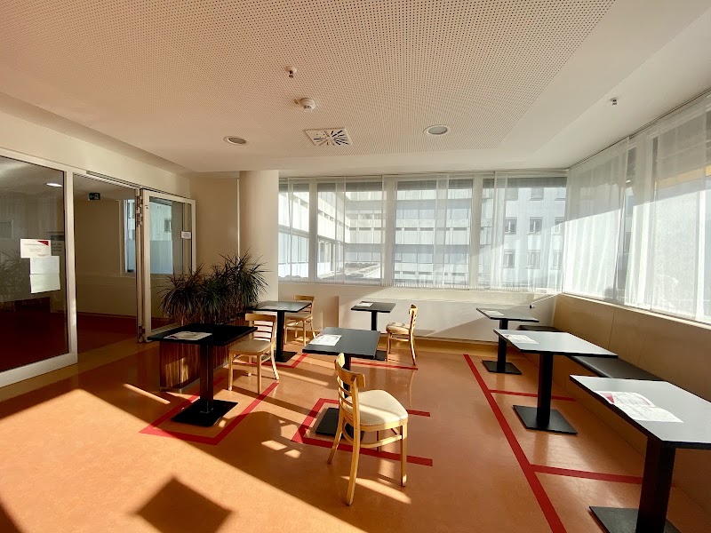 Gallery 5