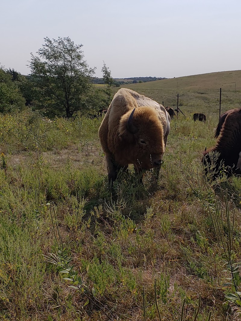 ReWild Ranch - Photo 4