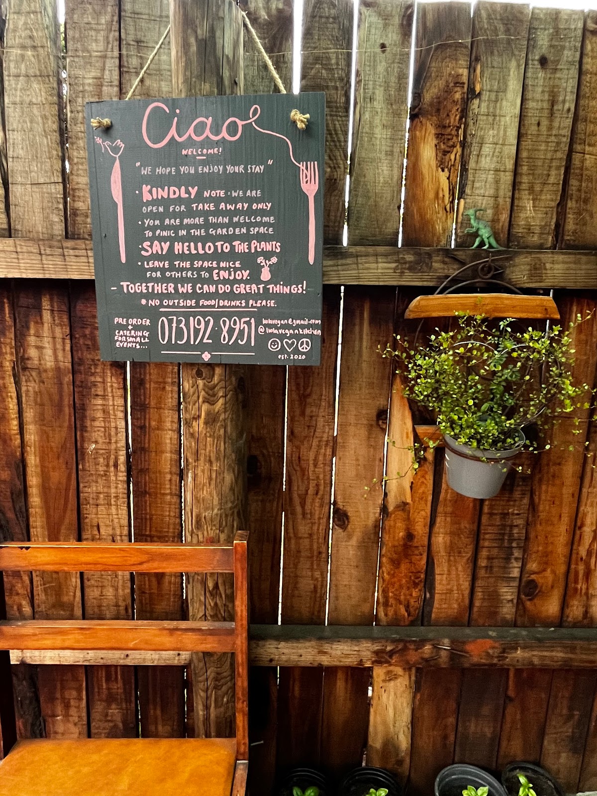 Liola Vegan Kitchen — photo 3