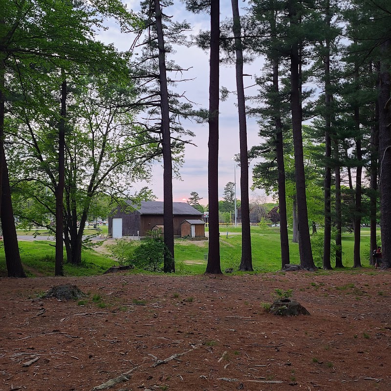 Amesbury Pines Disc Golf Course photo 4
