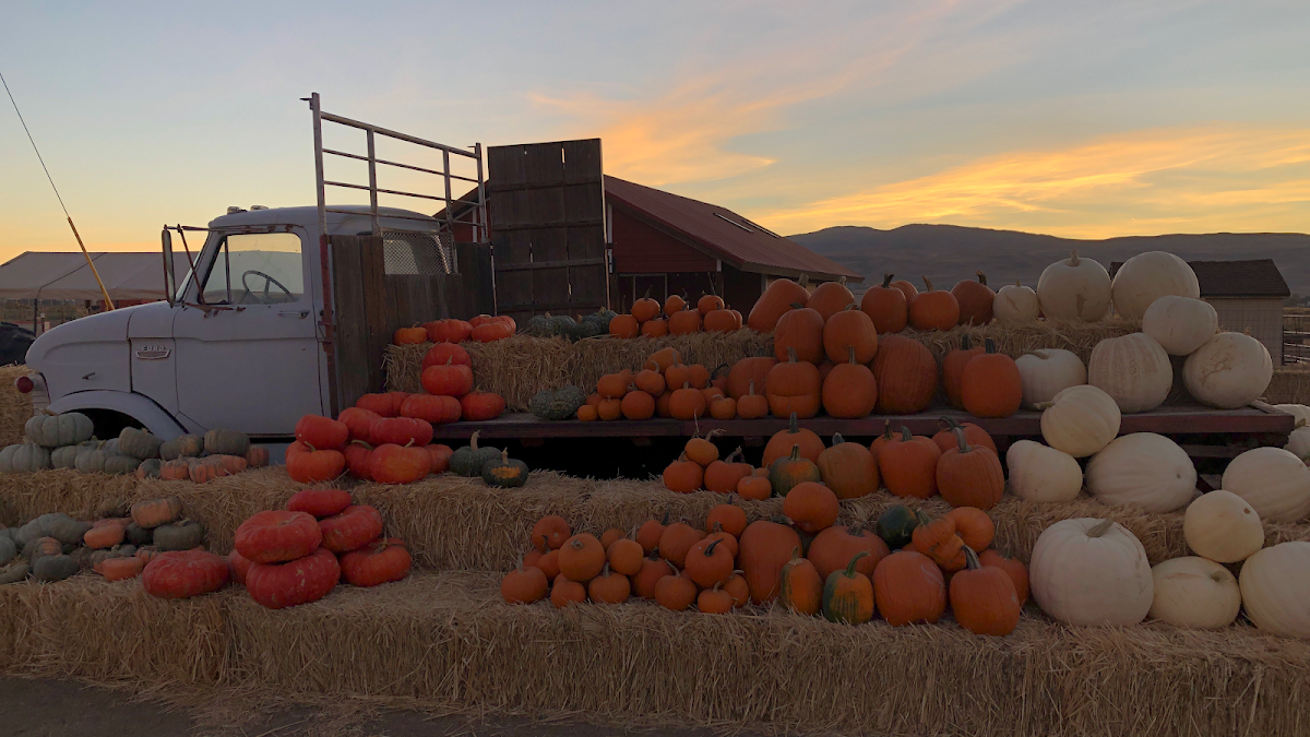Andelin Family Farm