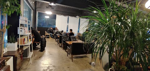 카페뮬 성북구 애견카페