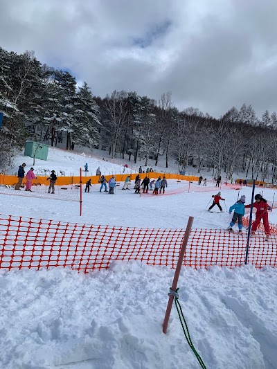 Shirakaba Resort Ikenotaira Snow Park - 1