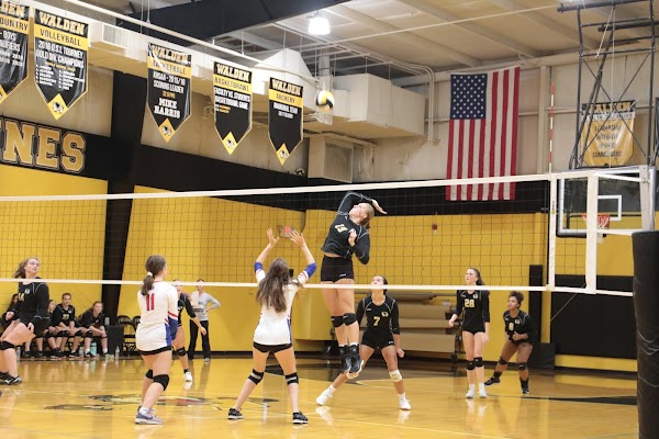 Photo by Walden School