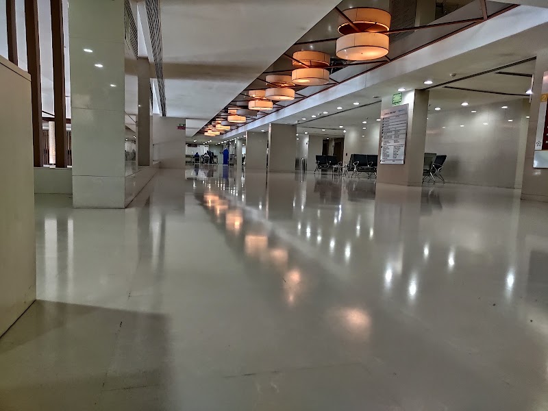 Gallery 5