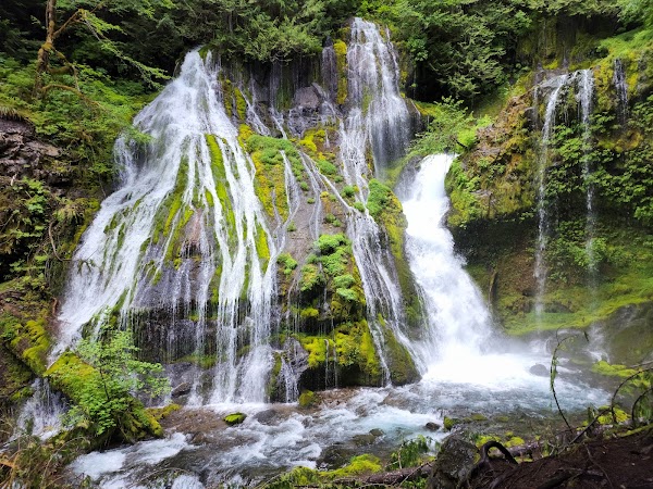 Panther Creek Falls 1