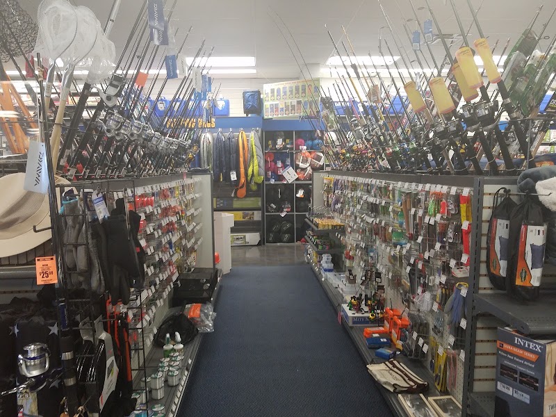 Big 5 Sporting Goods #356 photo