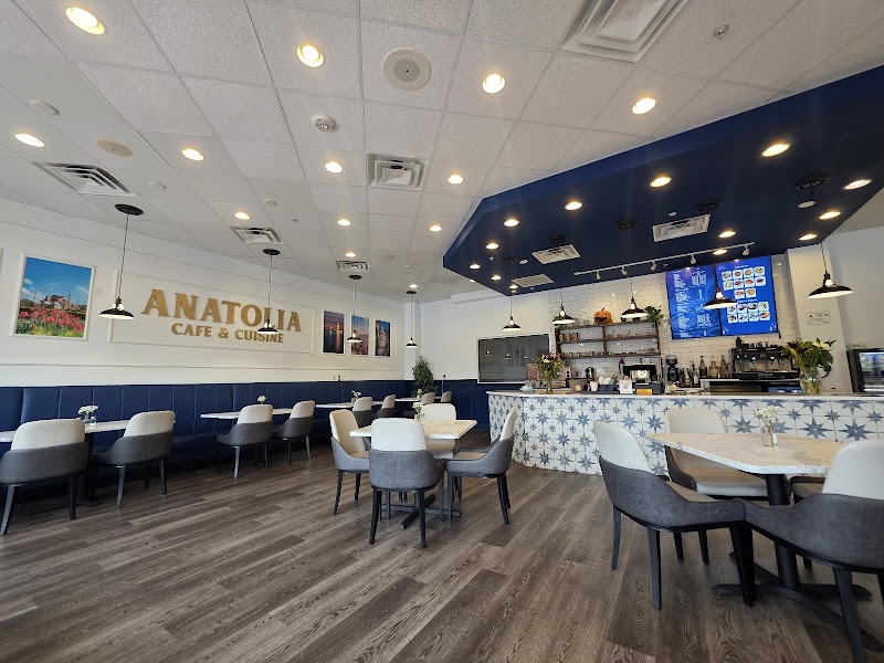 Anatolia Cafe & Cuisine photo 1