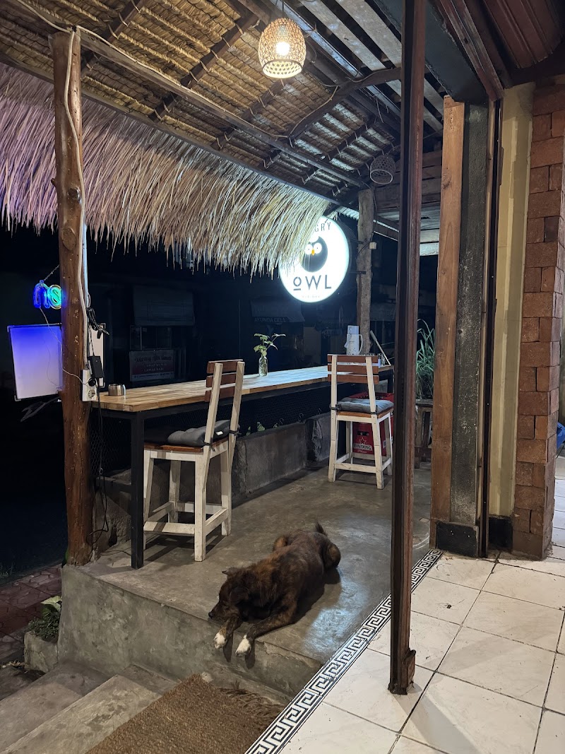 Hungry Owl ( Midnight Kitchen ) photo 6