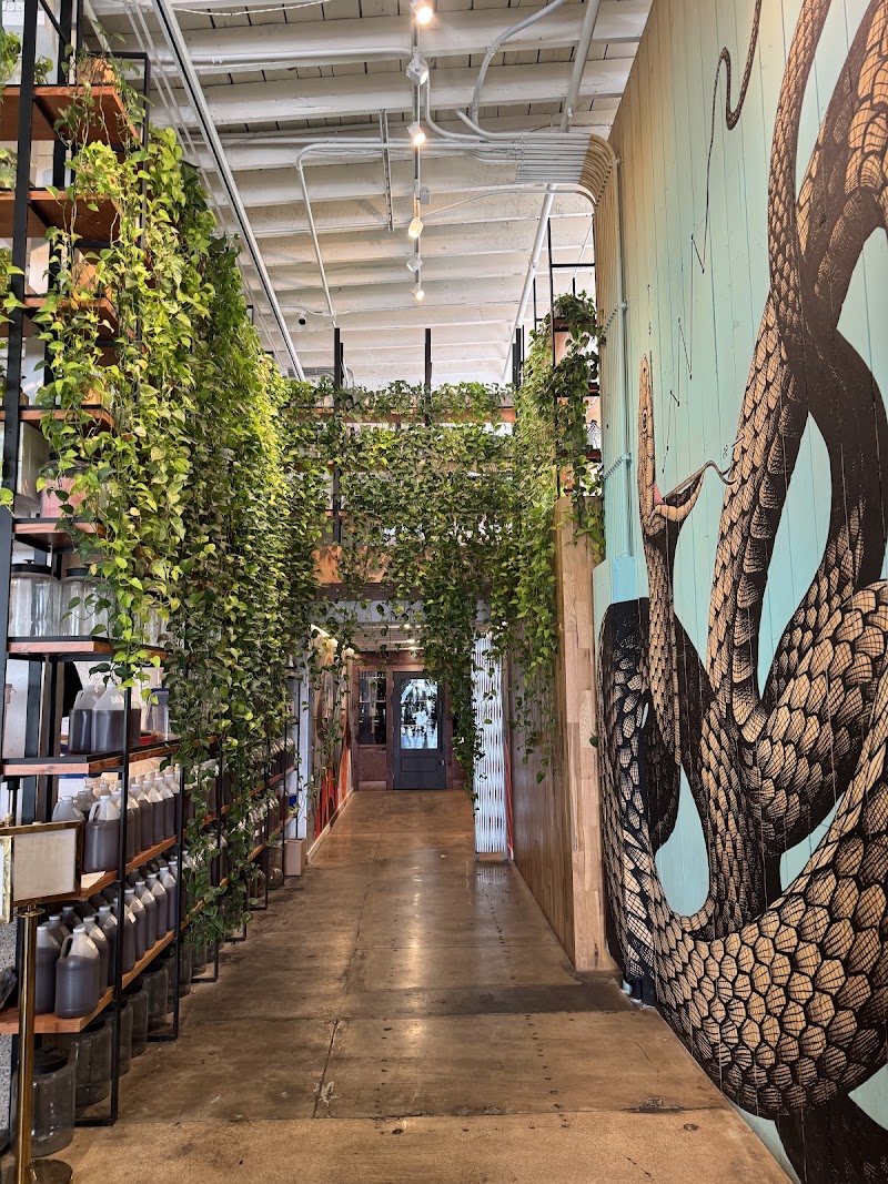 Onyx Coffee Lab - Rogers HQ photo 1