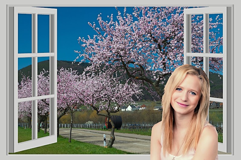 Alix Lemoine Sophrologue Marne 51 (Régulation émotionnelle Relaxation Bien-être Sommeil Prévention Détresse agricole)