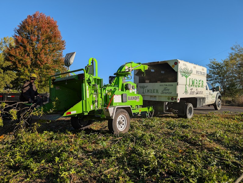 Timber Tree Service LLC