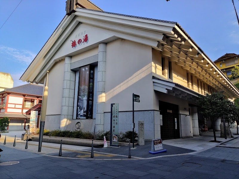 道後温泉椿の湯 3