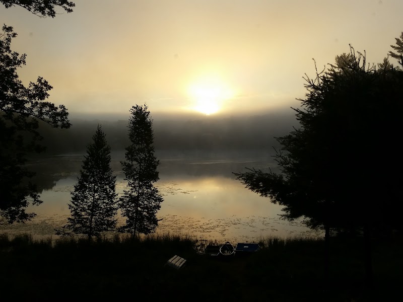 Mid-Forest Lodge - Photo 1