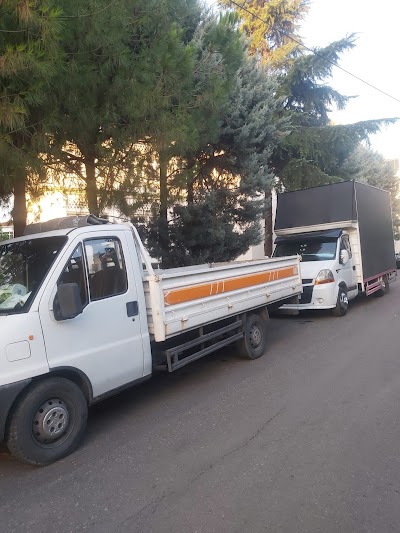 Çavdar nakliyat - Nakliyat