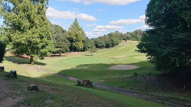 Dai Platform Country Club - Photo 4
