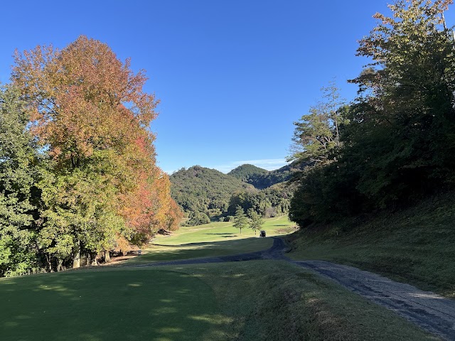 Dai Platform Country Club - Photo 2