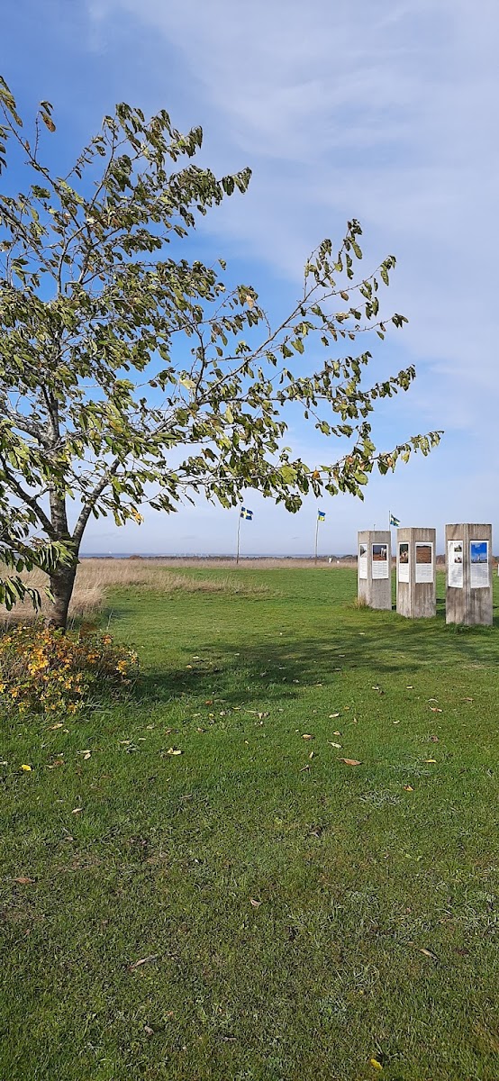 Station Linné