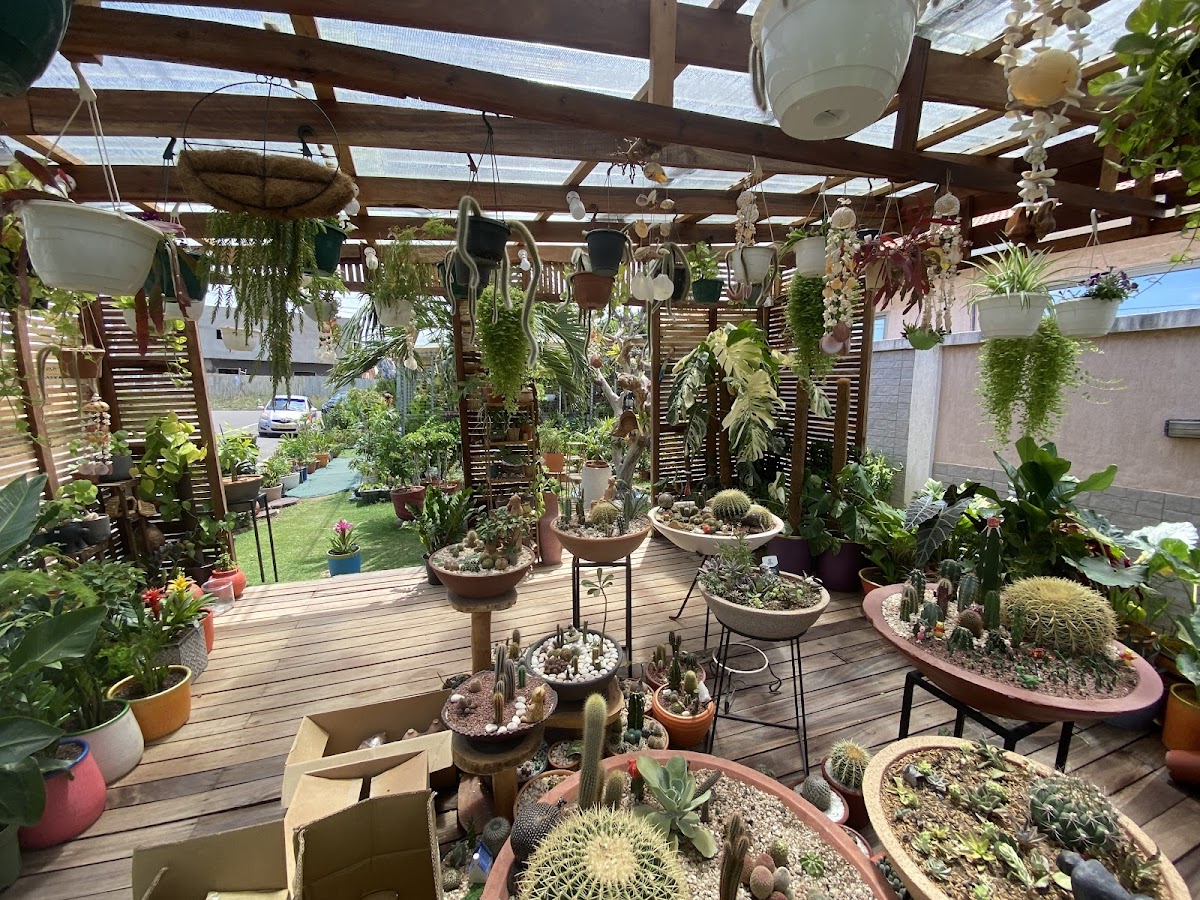 Dunia Gardens