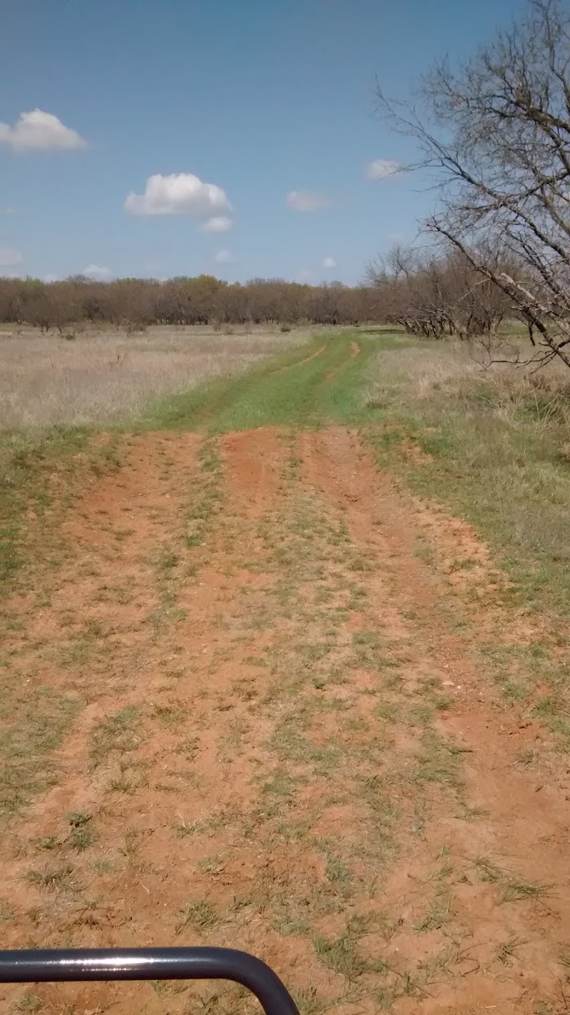 Hollingsworth Game Ranch - Photo 3