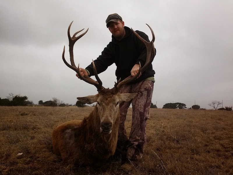 Hollingsworth Game Ranch - Photo 2