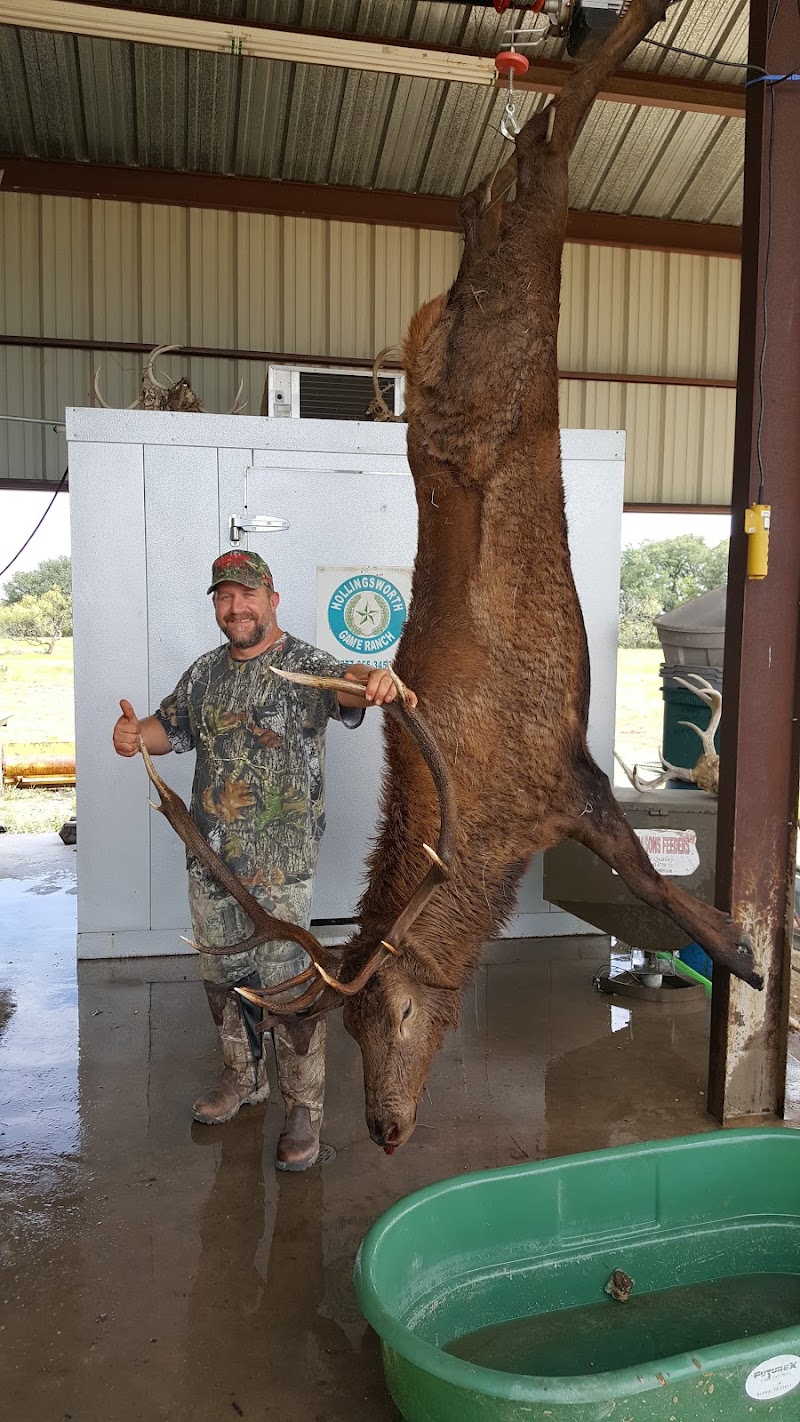 Hollingsworth Game Ranch - Photo 6