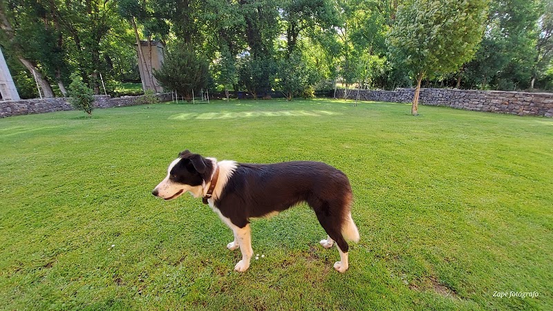 CENTRO VETERINARIO MARINA DEL VALLE