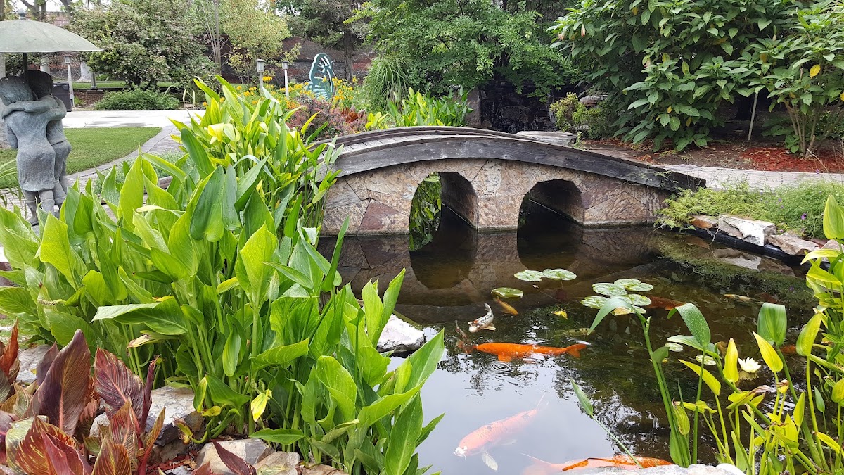 Brownstone Gardens: Google Places image 5