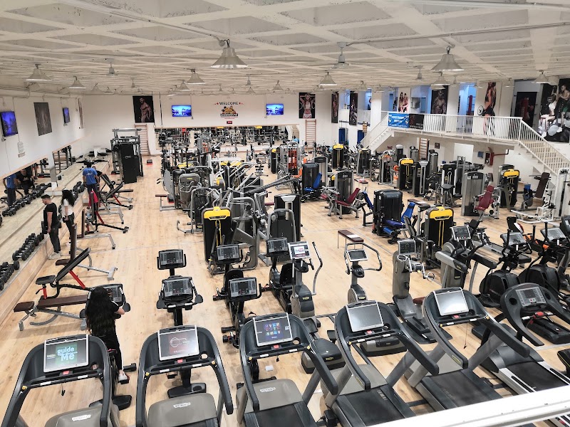 Flygroup Palestra