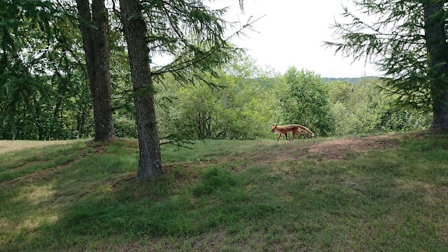 Kushiro Furin Country Club - Photo 6