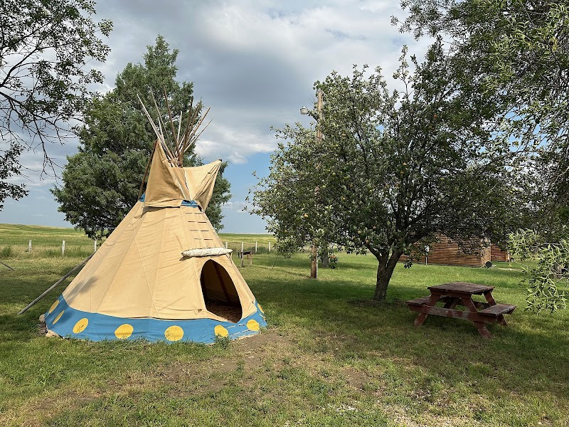 Badlands Heritage Guest Ranch - Photo 4