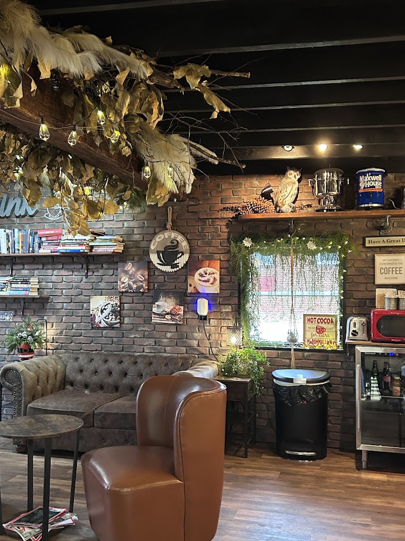 Dirty Dog Coffee photo 3