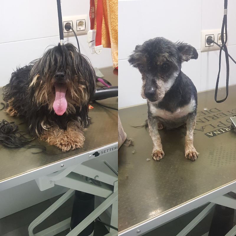 Clínica veterinaria "La Atalaya"