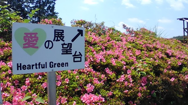 Minoshirakawa Golf Club Hisuikyo Course - Photo 6
