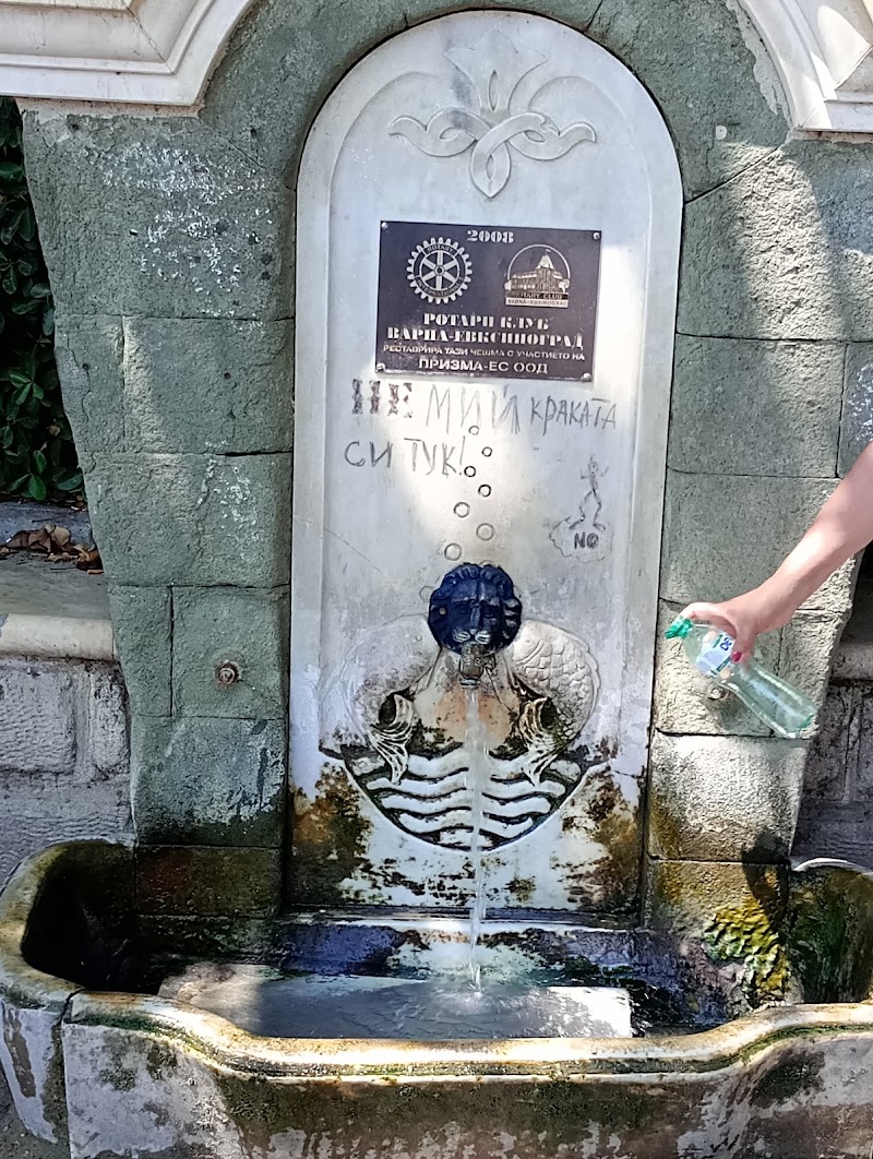 Источник: что важно знать перед визитом