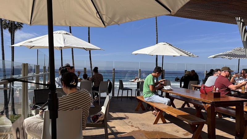 Caroline's Seaside Cafe by Giuseppe photo 2