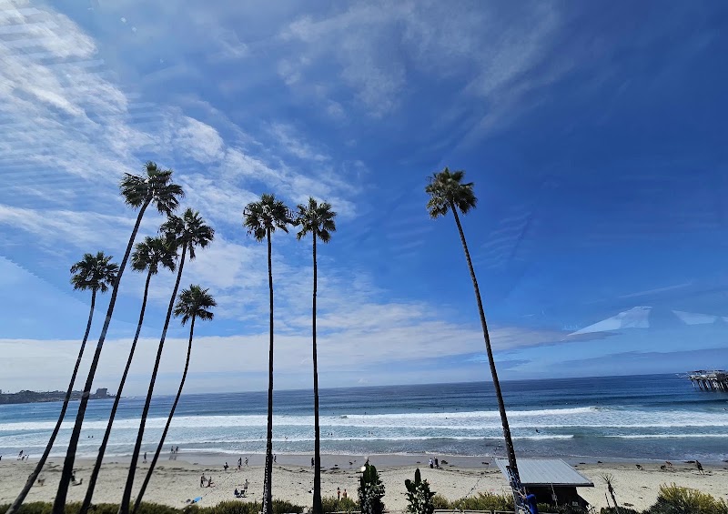 Caroline's Seaside Cafe by Giuseppe photo 4