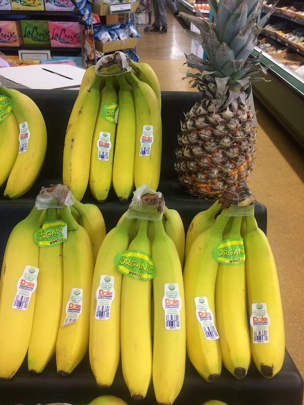 Photo by Melanie Rudolph