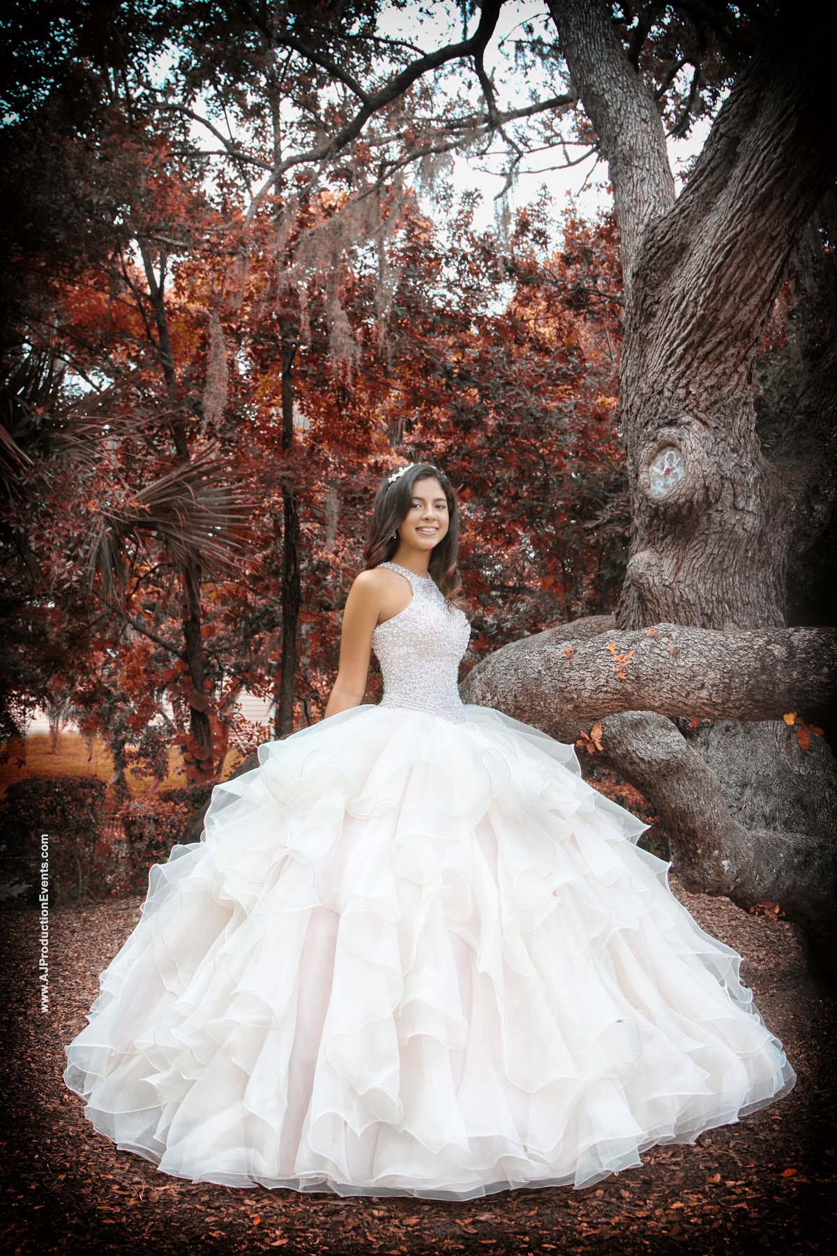 AJ Production Events LLC: Google Places image 4