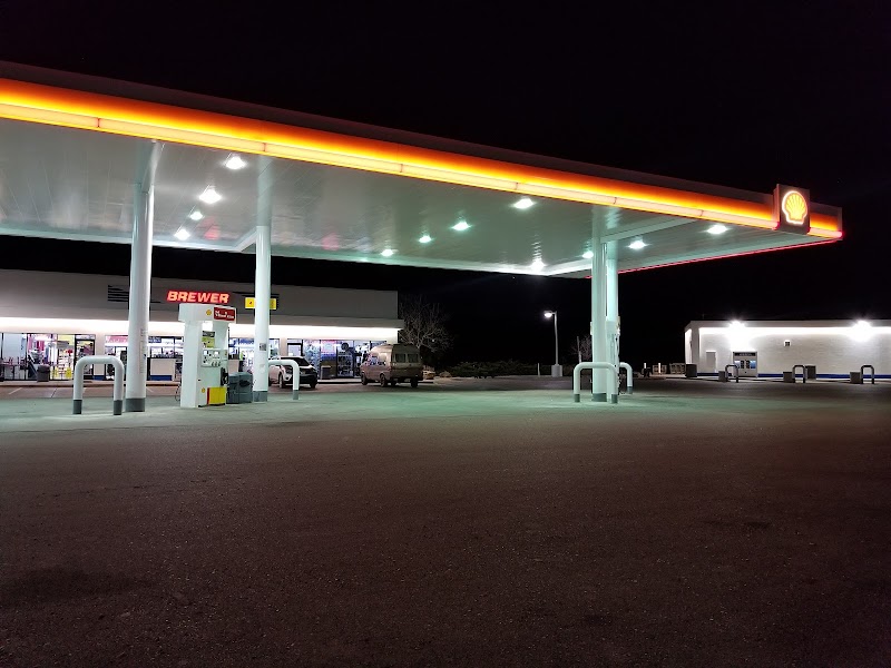 Shell photo 2