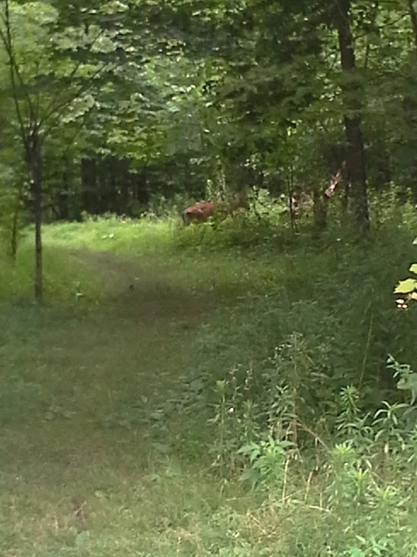 Photo by John-Luc Hall