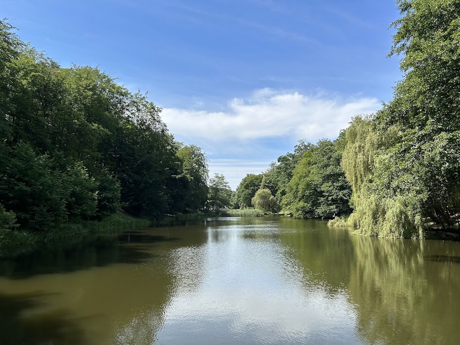 Park Oruński im. Emilii Hoene fotoğraf 1