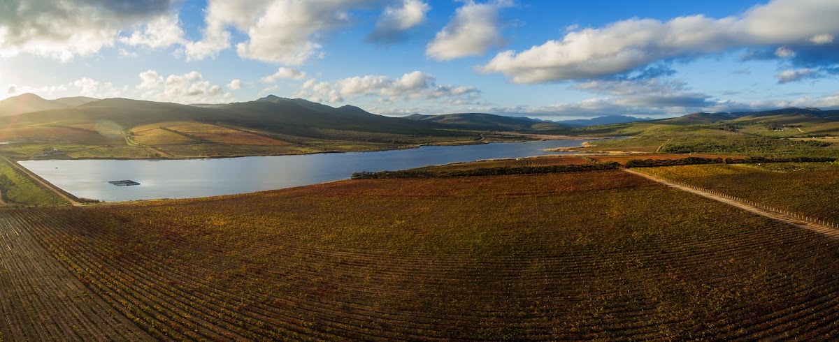 Lomond Wine Estate - Gansbaai