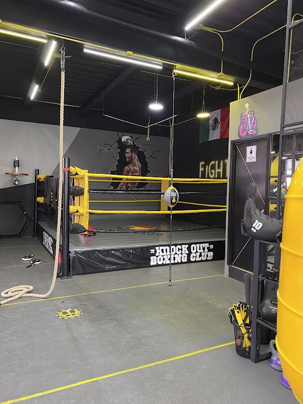 Knock Out Boxing