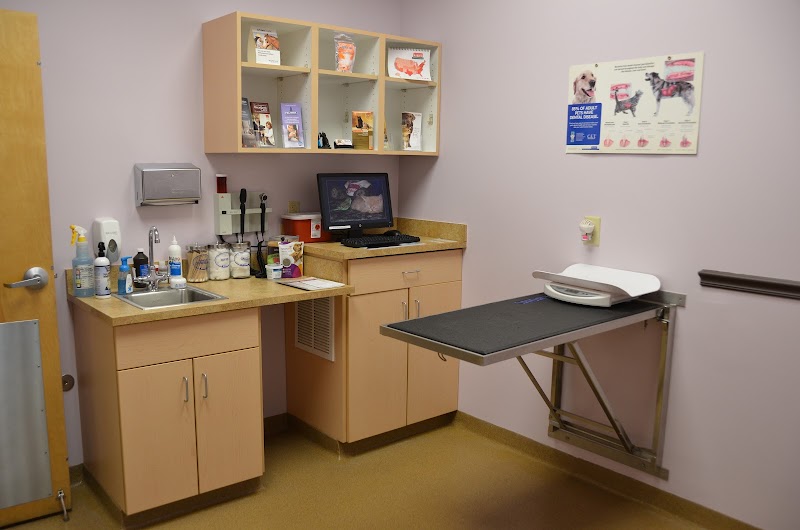 All Pets Health Center