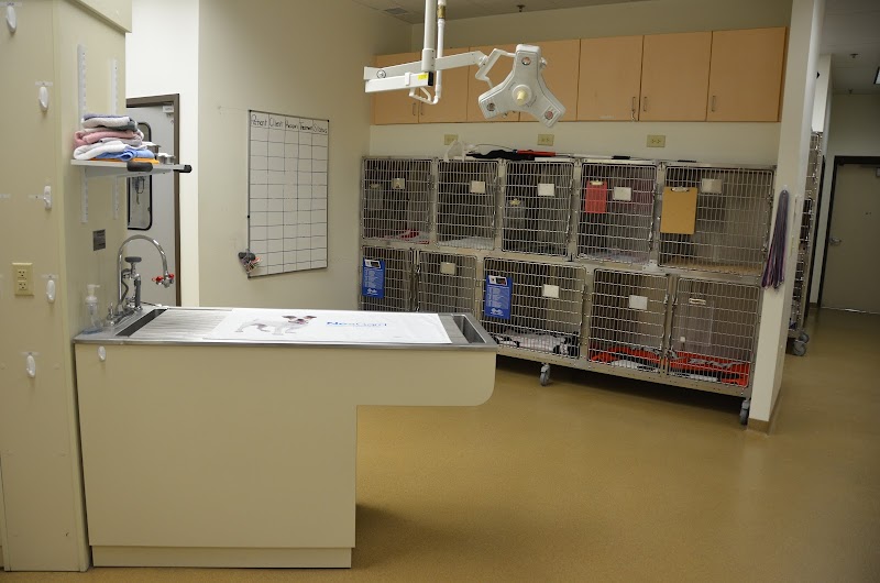 All Pets Health Center