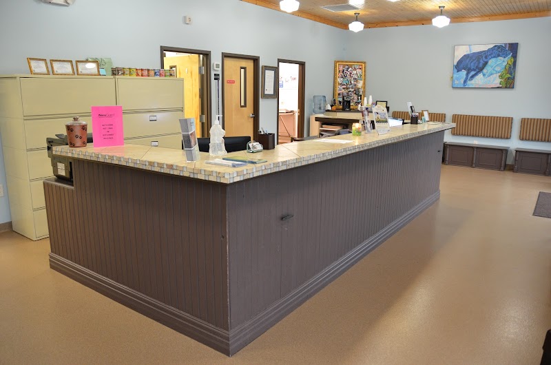 All Pets Health Center