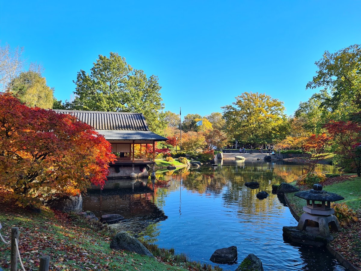 Hasselt Japanese Garden