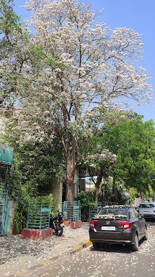 Sheth Hospital and Maternity Home